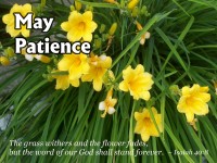     May ~ Patience