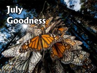     July ~ Goodness